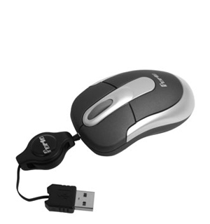 ���� ����